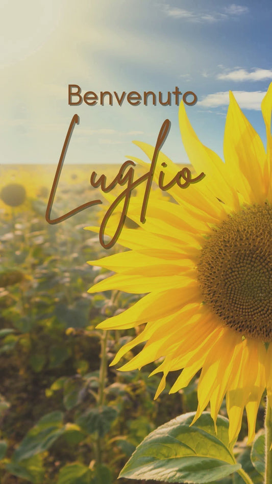Benvenuto LUGLIO