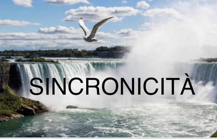 Mercoledi 5 /07/2023 LETIO DIVINA: La SINCRONICITÀ... - Erboristeria Il Mondo Alchemico