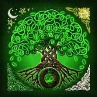 Sabato 26/04/2025 ore 13.30 La Celebrazione della LUNA NUOVA in TORO. L' ALBERO della VITA.