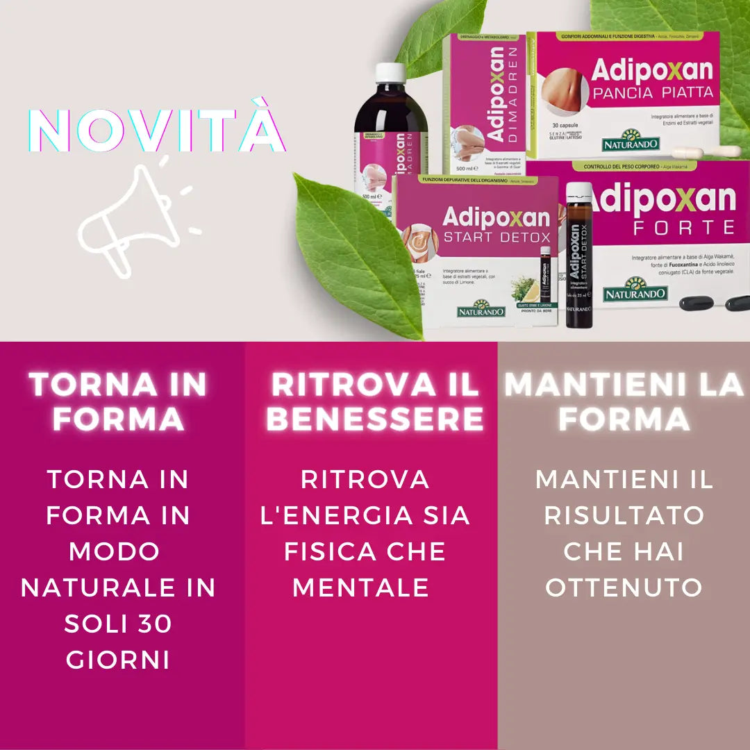 PROGRAMMA IO VIVO LEGGERO