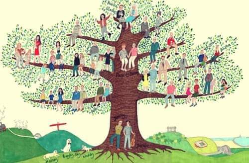DOMENICA 14/05/2023 ore 14.00 COSTELLAZIONI FAMILIARI - Erboristeria Il Mondo Alchemico