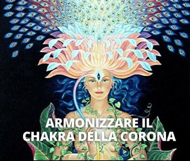 La Registrazione della LETIO DIVINA del 7/09/2022. ARMONIZZARE IL CHAKRA della CORONA. La MEDITAZIONE del FIOR di LOTO. - Erboristeria Il Mondo Alchemico