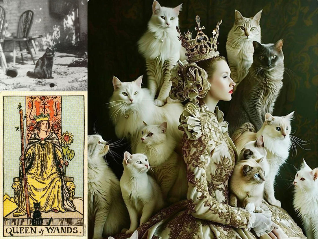 Il SEGRETO della REGINA di BASTIONI: il gatto SNUFFLES