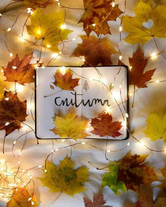 ✨🍁 Rito delle foglie cadenti per realizzare i propri desideri 🍁✨
