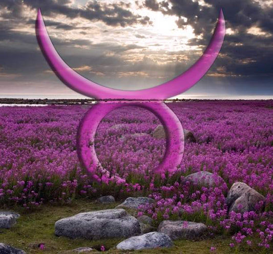 Energie del Sole in Toro consigli naturopatici – Erboristeria Il Mondo Alchemico