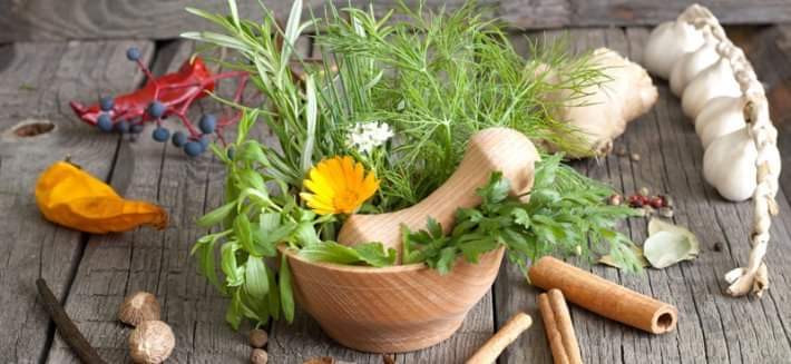Proprietà e benefici delle erbe aromatiche – Erboristeria Il Mondo Alchemico