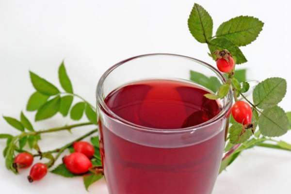 Tisana alla rosa canina proprietà e benefici – Erboristeria Il Mondo Alchemico