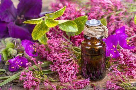 Oli essenziali per il segno del Toro aromaterapia naturopatica – Erboristeria Il Mondo Alchemico