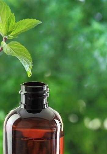 Olio essenziale di menta piperita proprietà e benefici – Erboristeria Il Mondo Alchemico