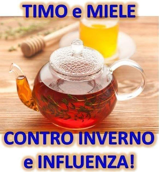 TIMO e MIELE contro INVERNO e INFLUENZA - Erboristeria Il Mondo Alchemico