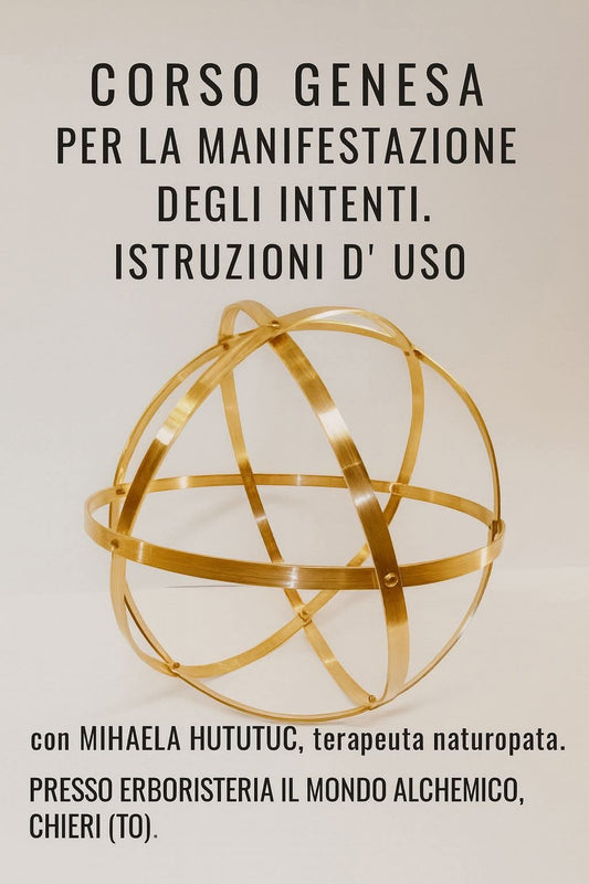 Venerdi 5/12/2025 ore 13.45 CORSO GENESA CRYSTAL per la MANIFESTAZIONE dei INTENTI. INSTRUZIONI d' USO