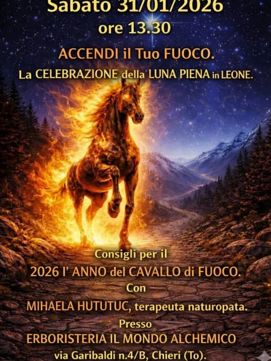 Registrazione del 31/01/2026: ACCENDI il Tuo Fuoco. La Celebrazione della LUNA PIENA in LEONE. Consigli per il 2026 l'anno del CAVALLO di FUOCO