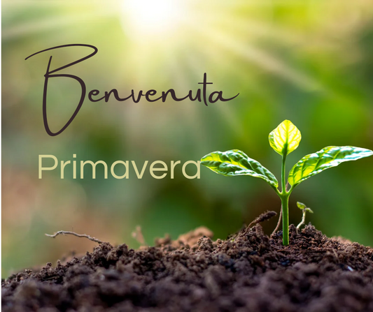 Mercoledi 22/03/2023 LETIO DIVINA: BENVENUTA PRIMAVERA! RINASCERE A NUOVA VITA... - Erboristeria Il Mondo Alchemico