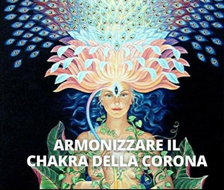 La Registrazione della LETIO DIVINA del 7/09/2022. ARMONIZZARE IL CHAKRA della CORONA.  La MEDITAZIONE del FIOR di LOTO. - Erboristeria Il Mondo Alchemico